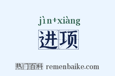 进项是什么意思的图片